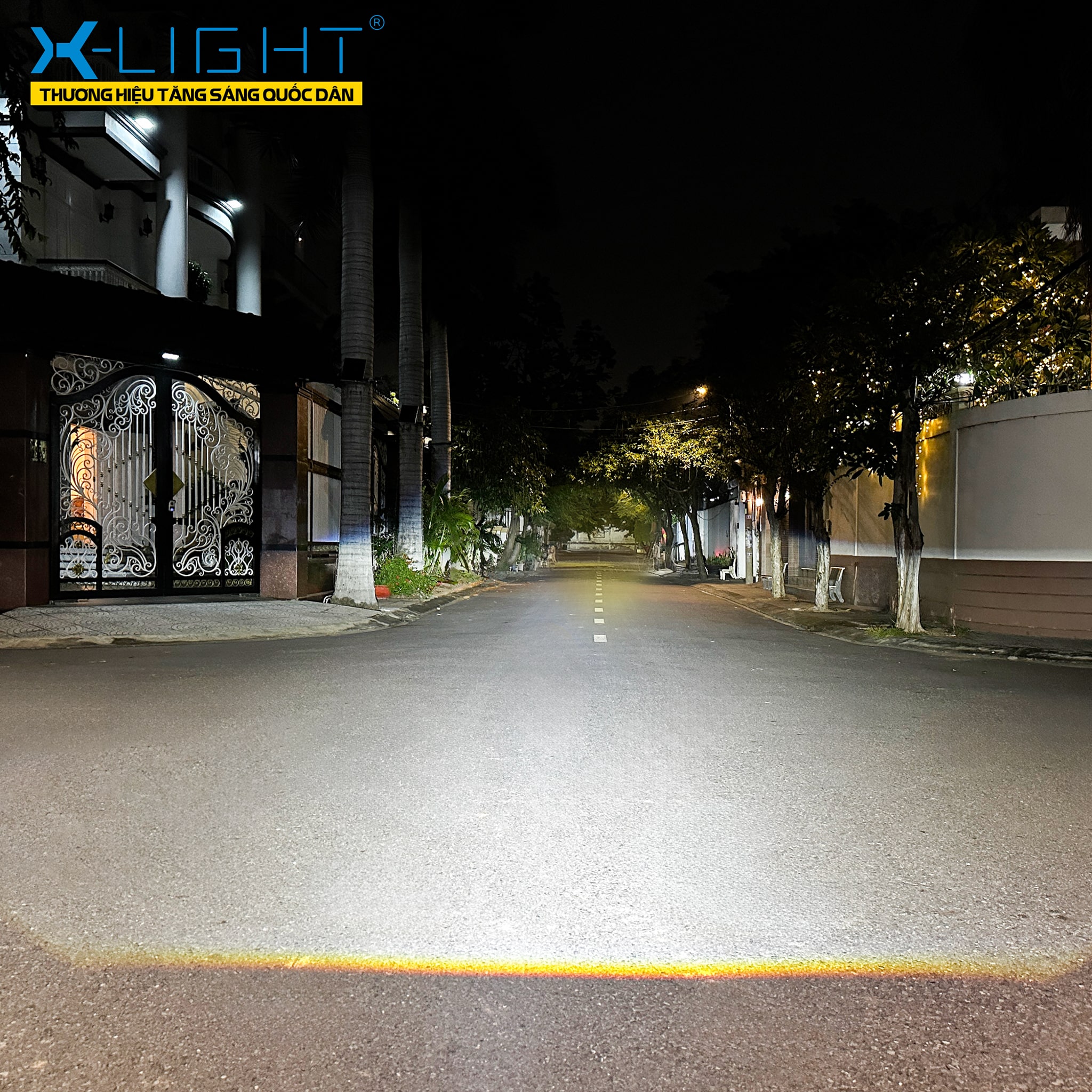 BI LED X-LIGHT V20 BASE 2025