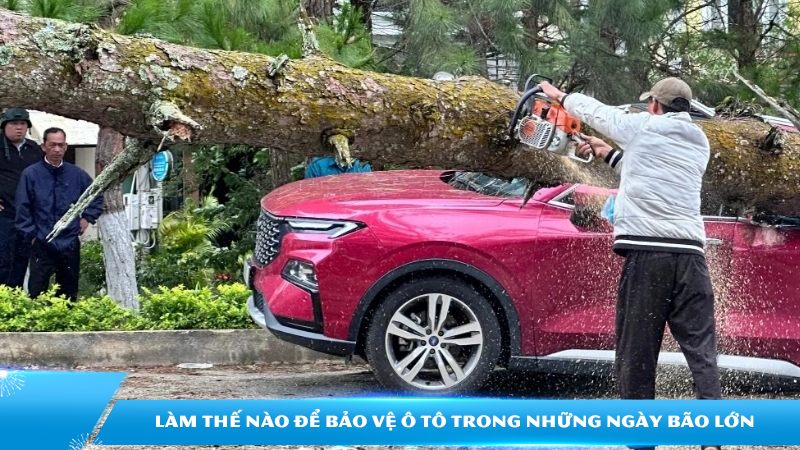 30 phút chuẩn bị giúp ô tô an toàn hơn trong mùa bão