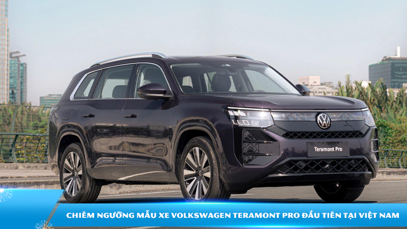 Chiêm ngưỡng mẫu xe Volkswagen Teramont Pro đầu tiên tại Việt Nam